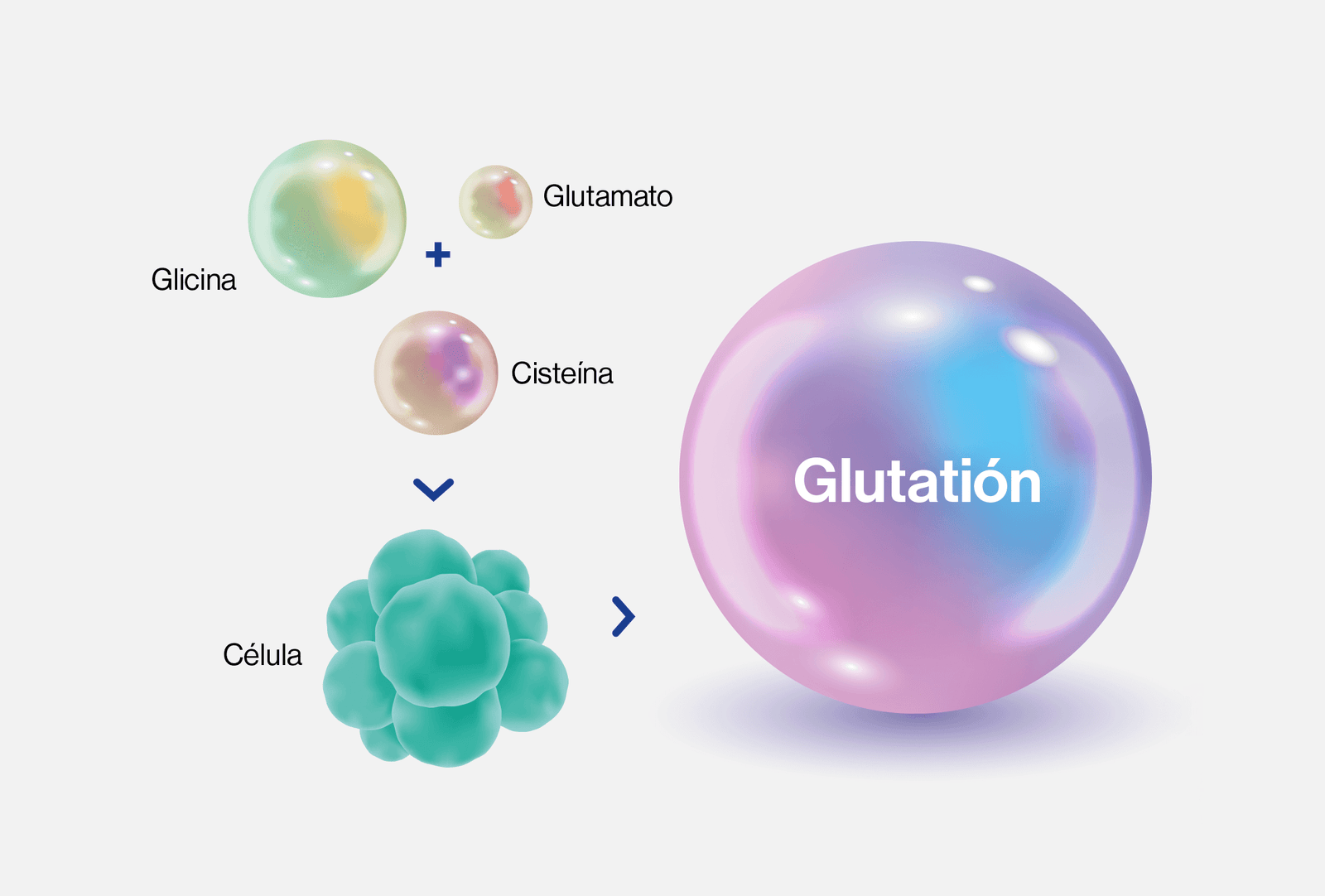glutatión immunocal mexico